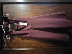 Francesca’s Size 7 TRIXXI GIRL Chocolate Flared Dress – NWT
